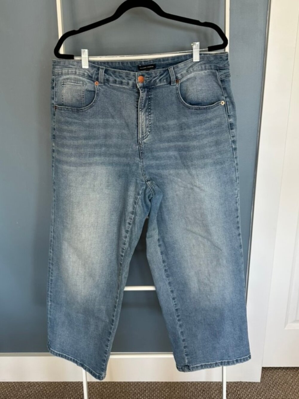 Universal Standard Taylor Trouser Jeans Brazil Blue 14